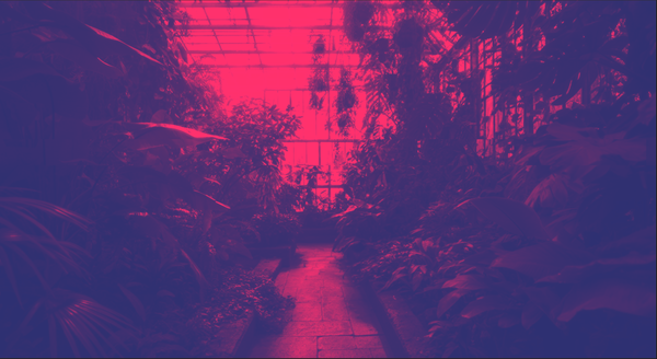 Designing for Post-Growth